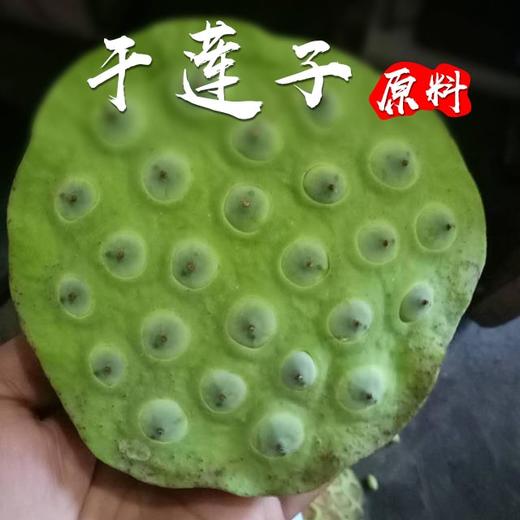 干红莲子 500g/罐 商品图1