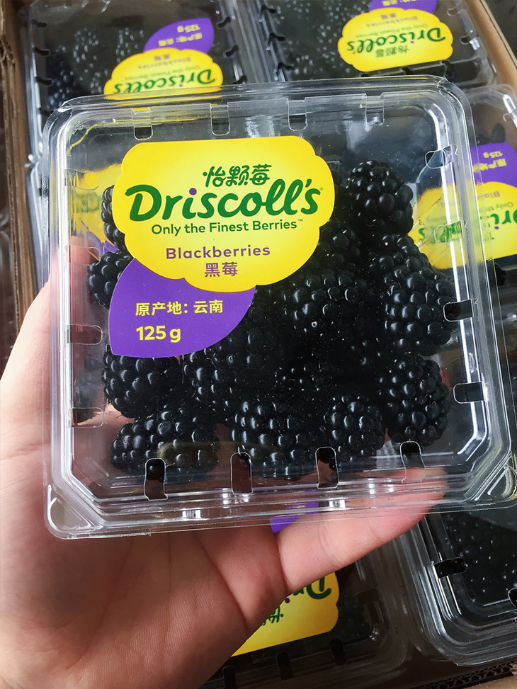 【怡颗莓 黑莓】怡颗莓 driscolls 黑莓,功能型水果,上市期特别短