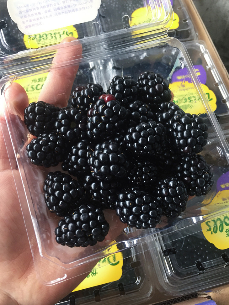 【怡颗莓 黑莓】怡颗莓 driscolls 黑莓,功能型水果,上市期特别短