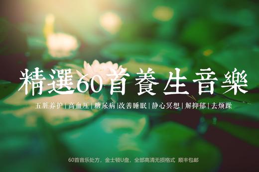 精选60首养生音乐 | 无损格式，超高清音质 | U盘（金士顿）16G内存 商品图1