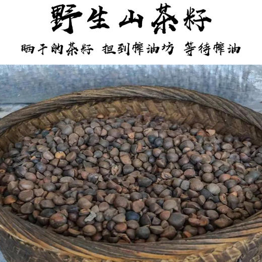 神农A级山茶油 20斤 包邮 新油上市优惠促销 商品图2