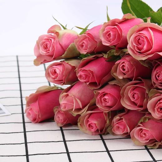 彩玫18枝/扎(随机品种派发)