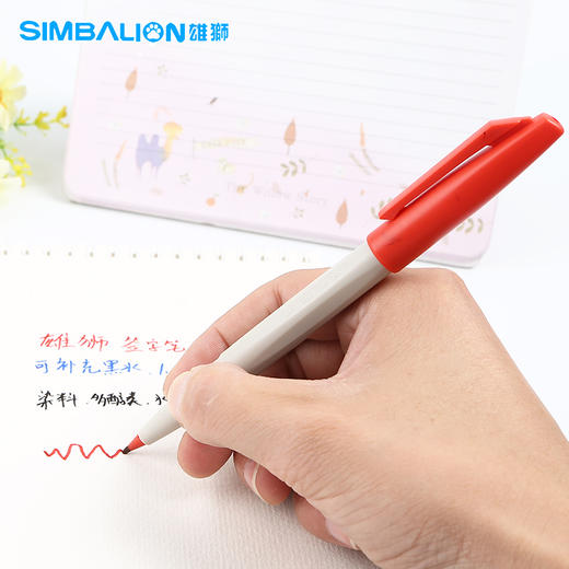 雄狮no.88 1.0mm 签字笔 商品图3