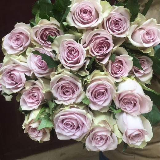 彩玫18枝/扎(随机品种派发)