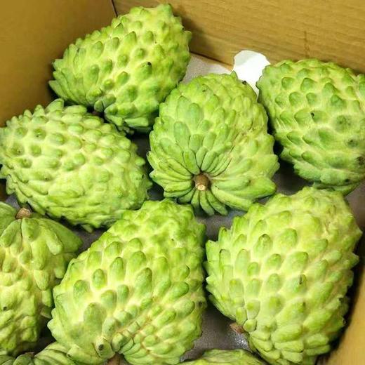 精选台湾释迦果89个单果250300克