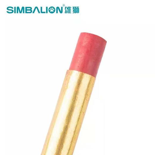 雄狮人体魔力彩绘笔 商品图3