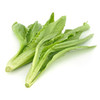 油麦菜（1份，约500g） 商品缩略图4
