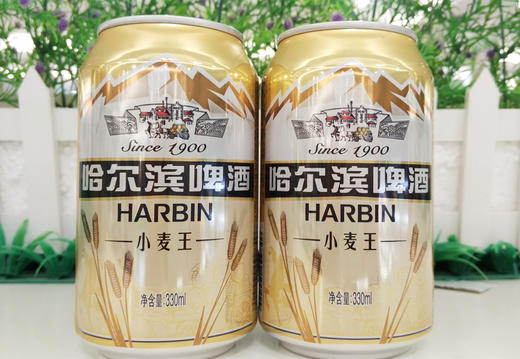 哈尔滨啤酒小麦王听330ml