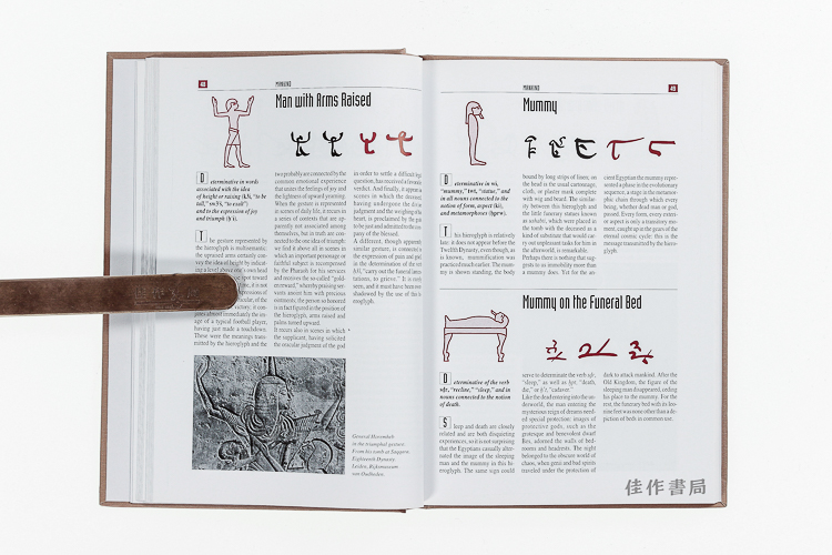 hieroglyphics: the writings of ancient egypt 神碑体:古埃及象形