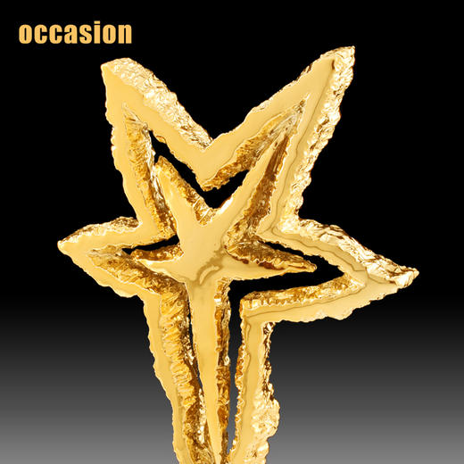 盛典 五角星奖杯定制 奖杯定制创意奖品 个性枫叶纪念品 树脂定制 商品图4