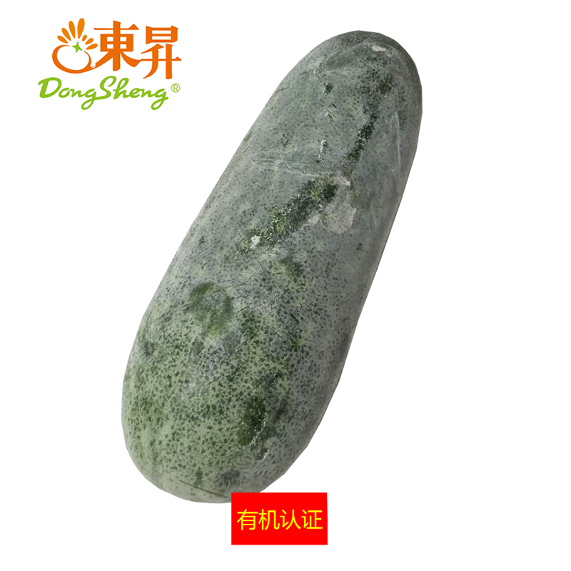 东升农场 有机小冬瓜 迷你翠玉冬瓜 广州供港新鲜蔬菜 1250g