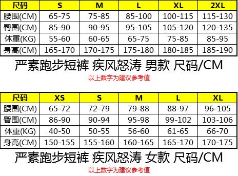 严素跑步运动短裤,疾风怒涛特价不退换,男/女款,带内衬,轻量,速干,透气,附袋 严素态度 商品图4