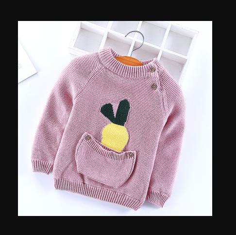 【童装毛衣】韩版秋冬加绒男女童装毛衣 宝宝针织衫萝卜套头儿童毛衣 商品图0