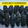 大连野生辽刺参(海参) | 深海捕捞 | 公平贸易 | 基地直发包邮 * Dalian Wild Liaoning Sea Cucumber 商品缩略图6