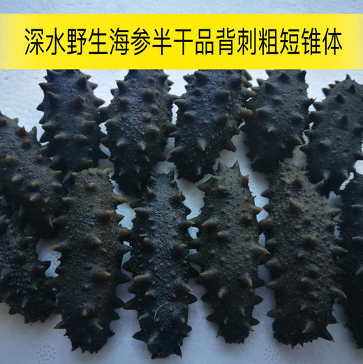 大连野生辽刺参(海参) | 深海捕捞 | 公平贸易 | 基地直发包邮 * Dalian Wild Liaoning Sea Cucumber 商品图6