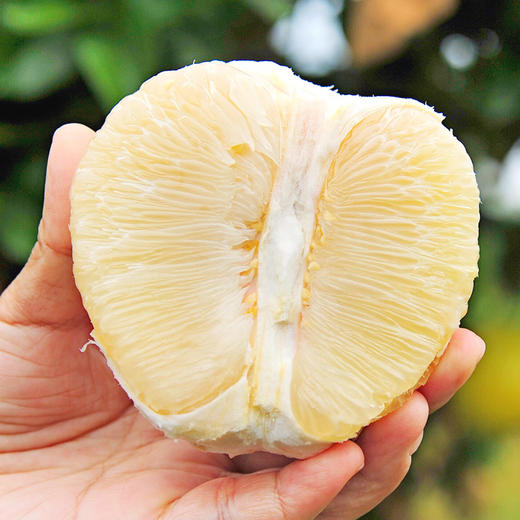 中国铁塔扶贫商品宣恩馆贡水白柚富硒柚子4个装