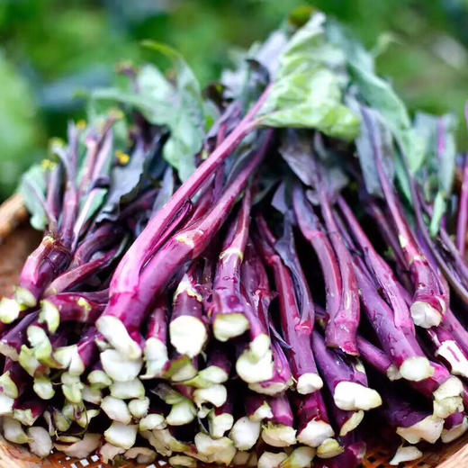 湖北洪湖 霜打红菜苔4斤送1斤顺丰包邮 商品图0