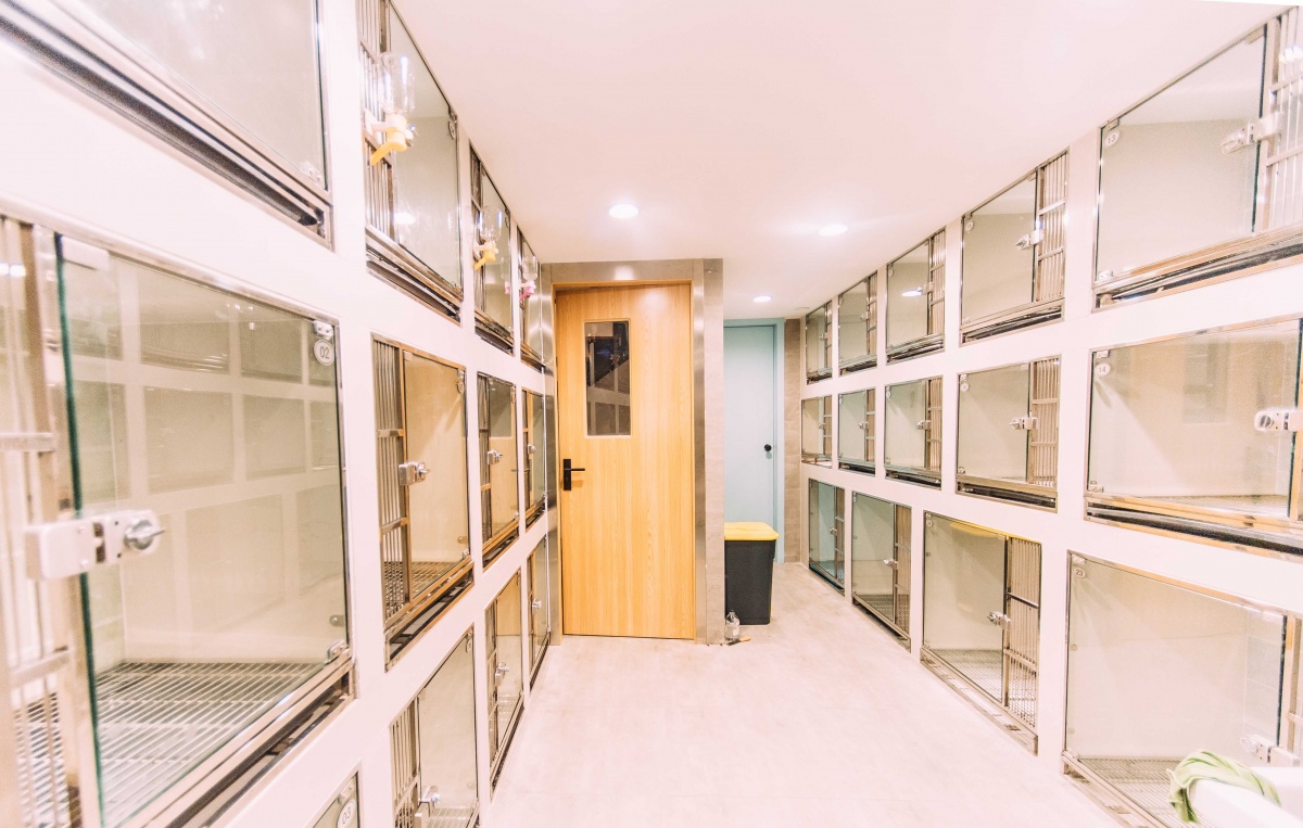 独立寄养区的房间都是 特别定制,可以满足各种体型的宠物.