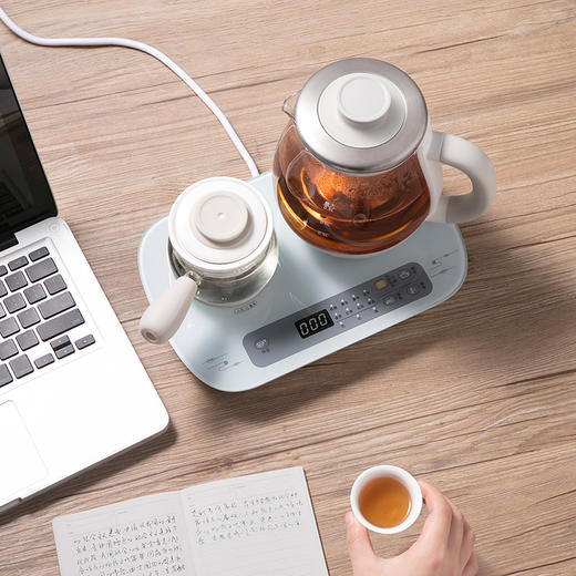 【小程序】Bear小熊家用玻璃全自动喷淋式煮茶器  ZCQ-A08E1 商品图4
