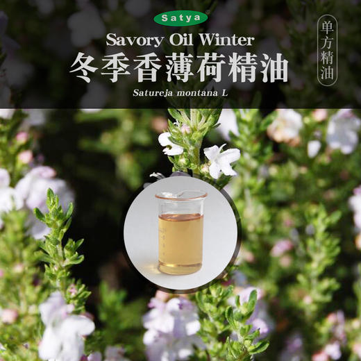 satya奥地利冬季香薄荷精油5ml单方精油