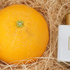 【预售12月16-24号第一批发货】双重橙意！吸管橙×摩洛哥橙花身体乳/摩洛哥橙花香氛 商品缩略图6