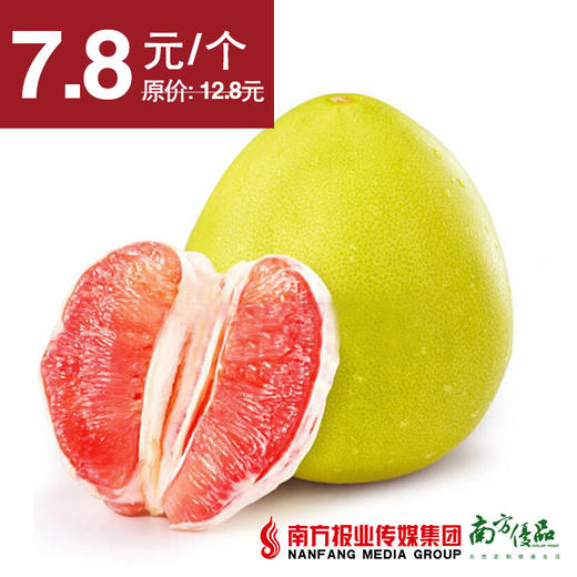 【酸甜爽口】福建平和红柚  单果2.5斤±3两  1个 商品图0