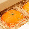 【预售12月16-24号第一批发货】双重橙意！吸管橙×摩洛哥橙花身体乳/摩洛哥橙花香氛 商品缩略图3