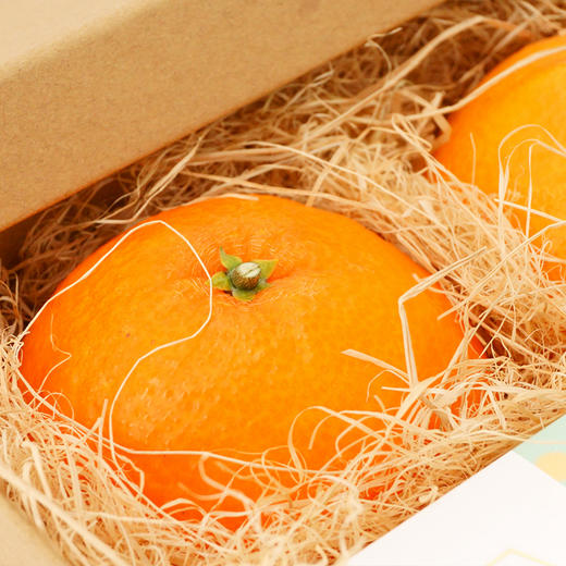 【预售12月16-24号第一批发货】双重橙意！吸管橙×摩洛哥橙花身体乳/摩洛哥橙花香氛 商品图3