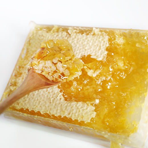 【封盖巢蜜，养身佳品】蜂蜜巢蜜500g包邮 商品图1