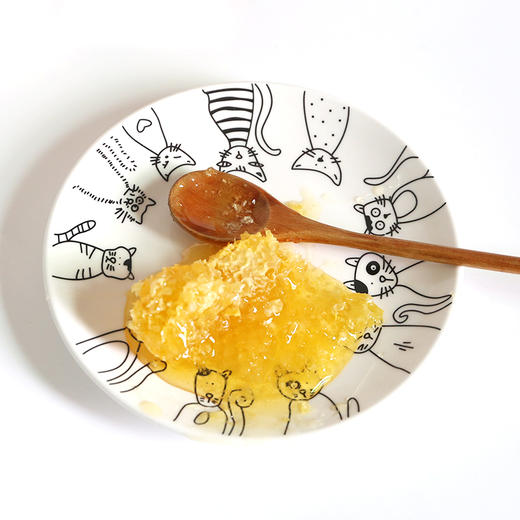 【封盖巢蜜，养身佳品】蜂蜜巢蜜500g包邮 商品图3