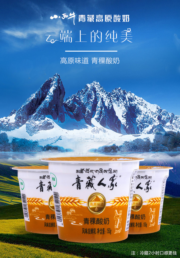 青藏人家青稞酸奶一杯150g/整箱150g*12杯(酸奶)