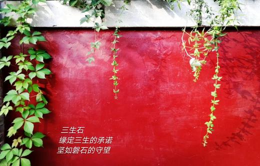 三生石•“缘”珍珠两用耳饰 商品图10