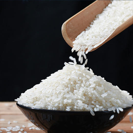 买一送一璞谷塘石板大米5斤装拍1桶实发2桶 非转基因营养健康