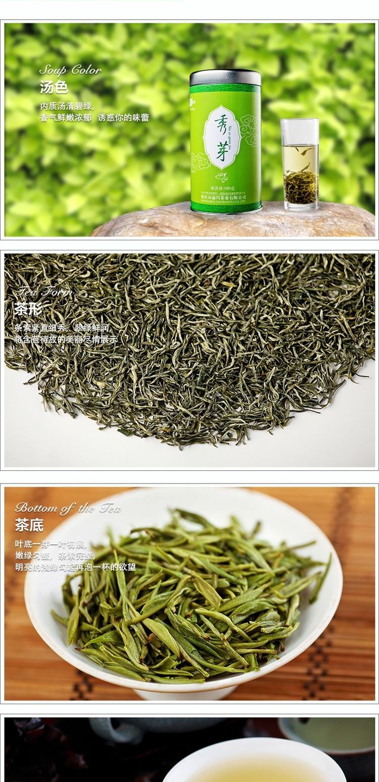 新茶紫芸永川秀芽茶叶100g明前炒青高山绿茶罐装散装茶包邮