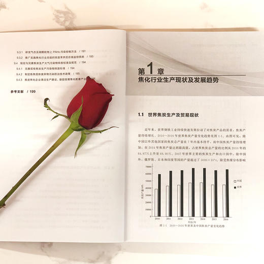 煤焦化过程中大气污染物的释放、迁移及控制 商品图4