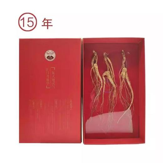 【野山参】东北桓仁小籽货野山参人参 个小参力足  滋补好礼 15年/18年 商品图1