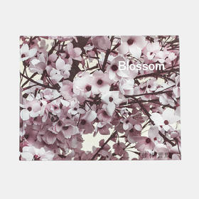 Thomas Demand: Blossom / 托马斯·迪曼德：繁花