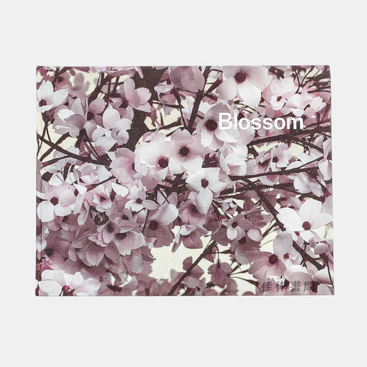 Thomas Demand: Blossom / 托马斯·迪曼德：繁花 商品图0