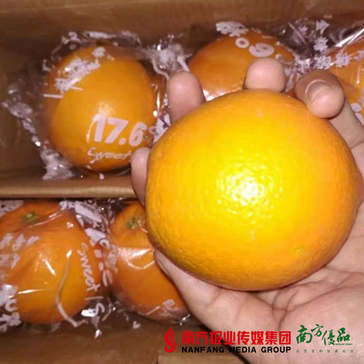 【香甜多汁】正宗江西赣南脐橙 礼盒装  约4.5斤/箱   1箱 商品图1