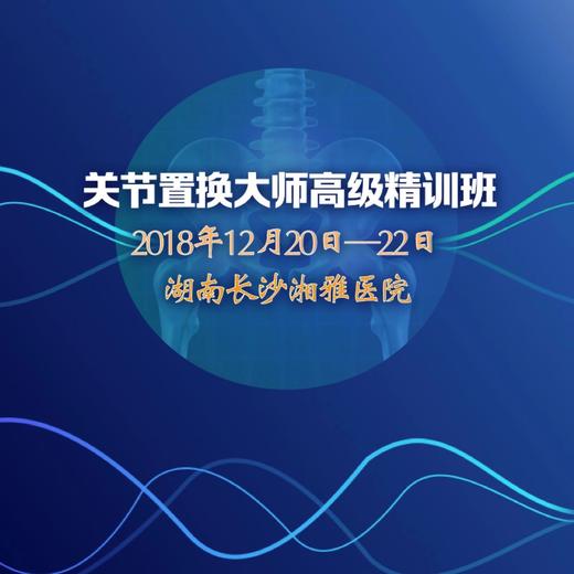 关节置换大师高级精训班 商品图0