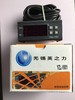 YZL-1001 微电脑温度控制器 商品代码41020 商品缩略图0
