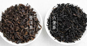 六堡茶和普洱茶的区别