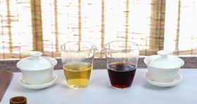 六堡茶传统工艺与现代工艺的区别
