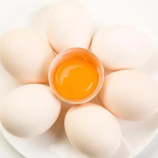 【神丹】鲜鸡蛋谷物饲养无菌蛋 保洁鸡蛋 32枚 商品图5