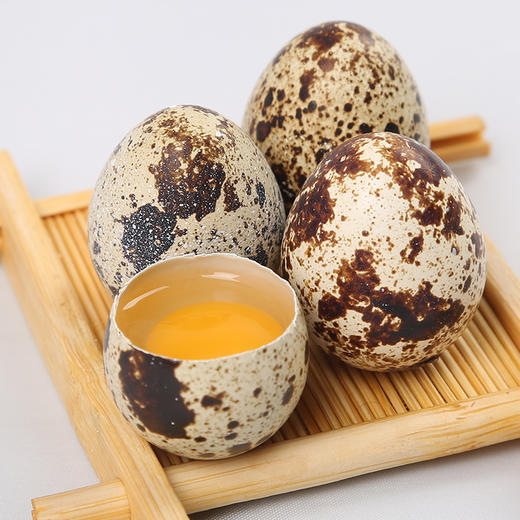 【神丹】新鲜鹌鹑鲜蛋 50枚装 约425g 商品图3