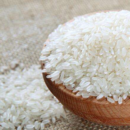 【农场直邮】有机种植方式种植的稻花香大米|10斤装（五常县川北道合作社）