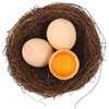 【神丹】鲜鸡蛋谷物饲养无菌蛋 保洁鸡蛋 32枚 商品缩略图3