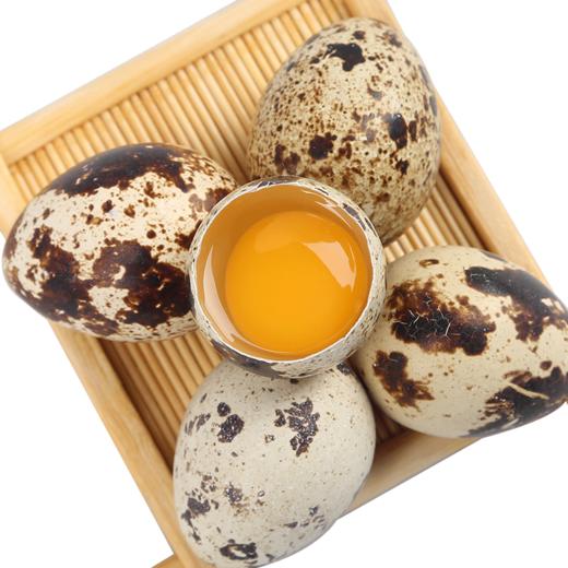 【神丹】新鲜鹌鹑鲜蛋 50枚装 约425g 商品图2