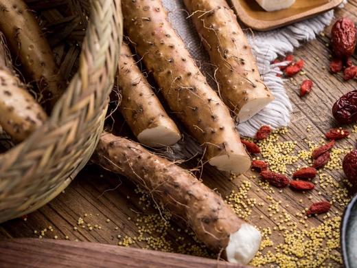 焦作垆土山药 商品图0