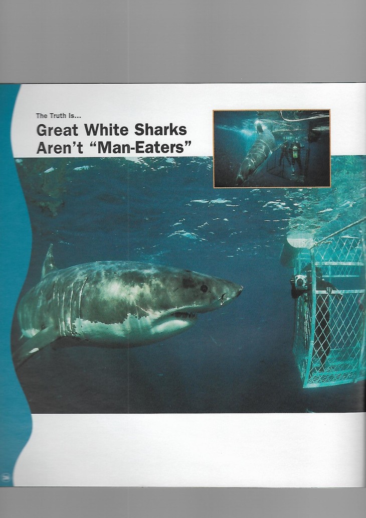 英文原版書thetruthaboutgreatwhitesharks